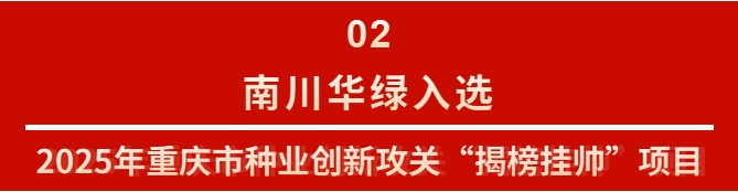 微信截圖_20250702101903.png